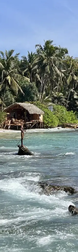 Zwischen Teeplantagen, Tempeln und Tropenwellen – Privatrundreise in Sri Lanka